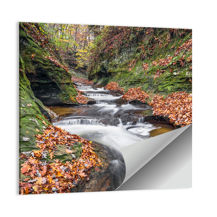 Warren County Autumn Cascades Wall Art as a poster print