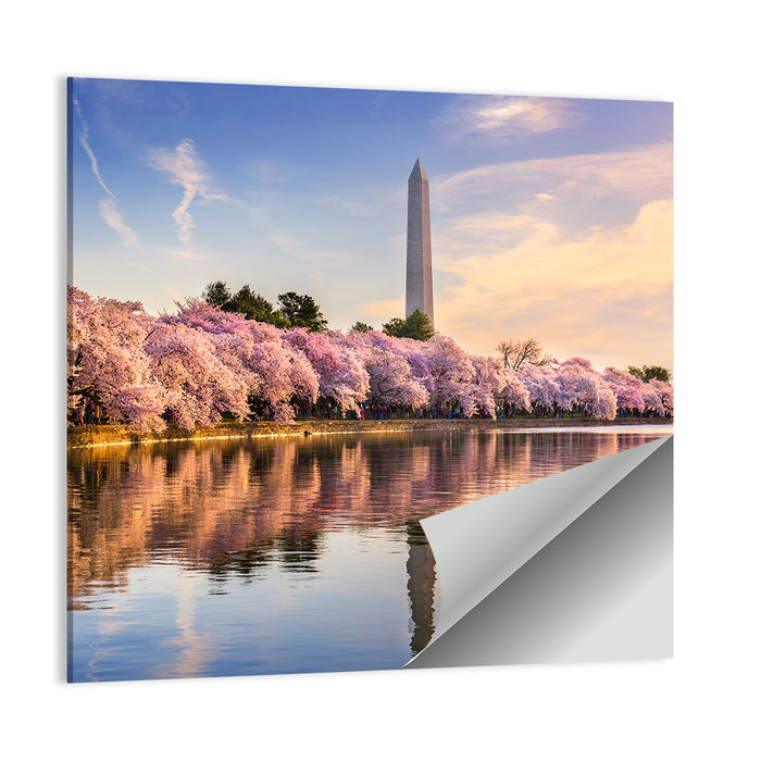 Washington Monument at Tidal Basin Wall Art as a poster print