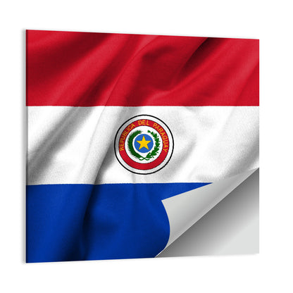 Flag Of Paraguay Wall Art