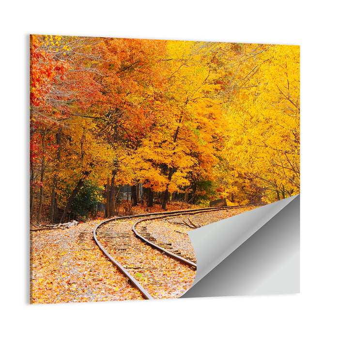 Curving Railroad Through Autumn Forest Wall Art as a poster print