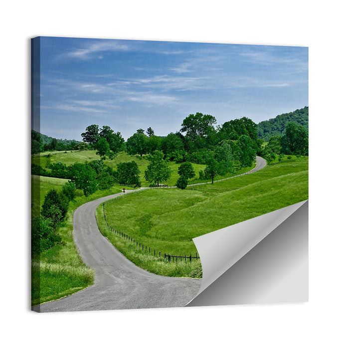 Blue Ridge Winding Road, Western Virginia Wall Art as a poster print