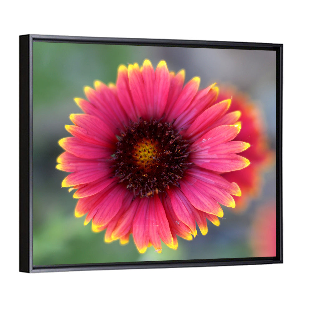 Pink Blossom Close-up Wall Art