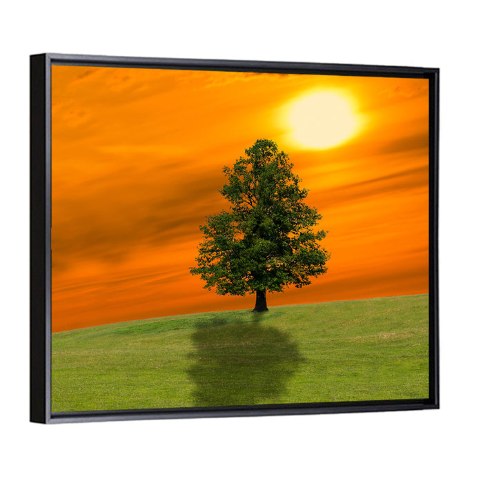 Lonely Tree on Green Hill at Sunset Wall Art as a framed canvas