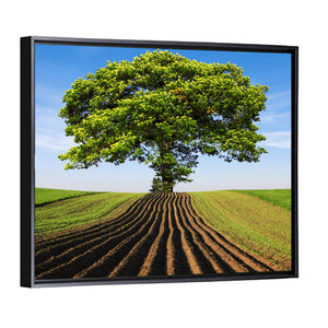 Tree On Hill Wall Art