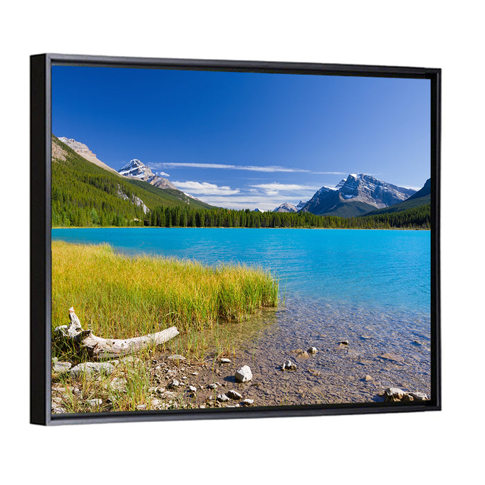 Jasper Lake with Driftwood Wall Art as a framed canvas