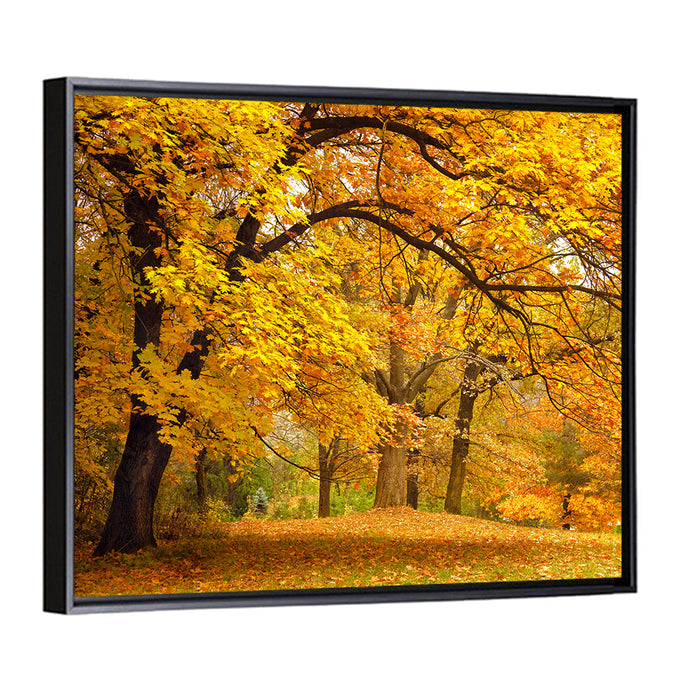 Golden Canopy in Autumn Park Wall Art as a framed canvas