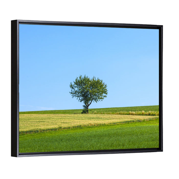 Solitary Tree on Rolling Meadow Wall Art as a framed canvas