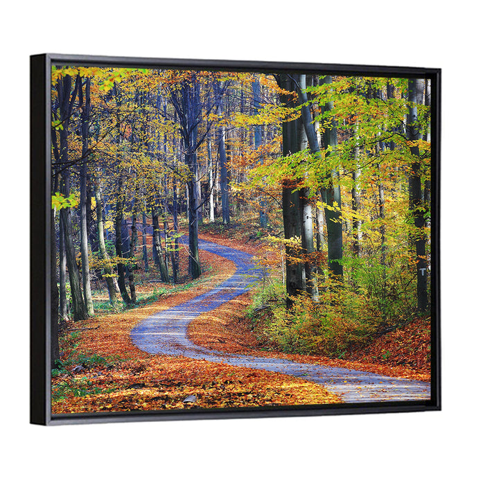 Winding Autumn Forest Path Wall Art as a framed canvas