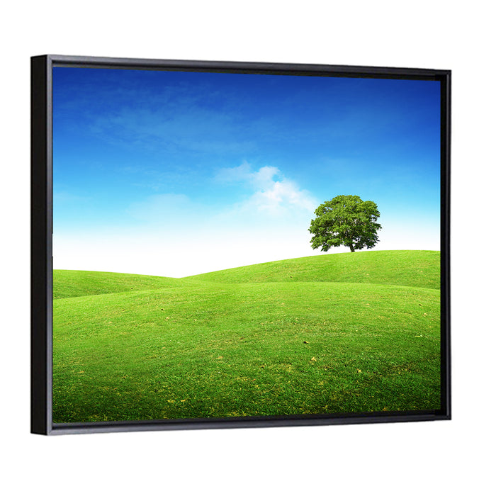 Lone Tree on Rolling Green Hill Wall Art as a framed canvas