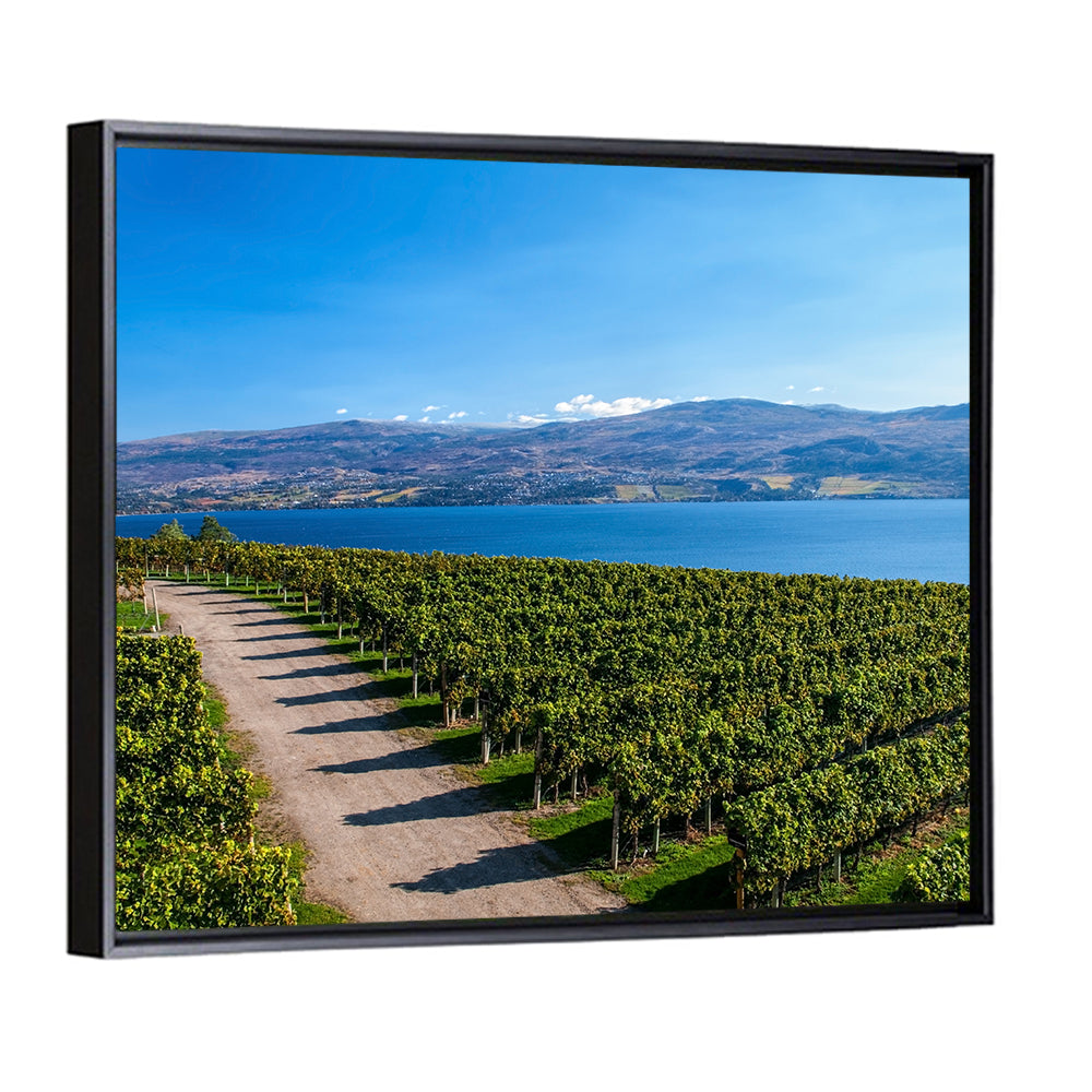 Lake Okanagan Vineyard Path Wall Art
