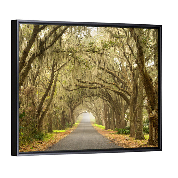 Spanish Moss Country Road Wall Art as a framed canvas