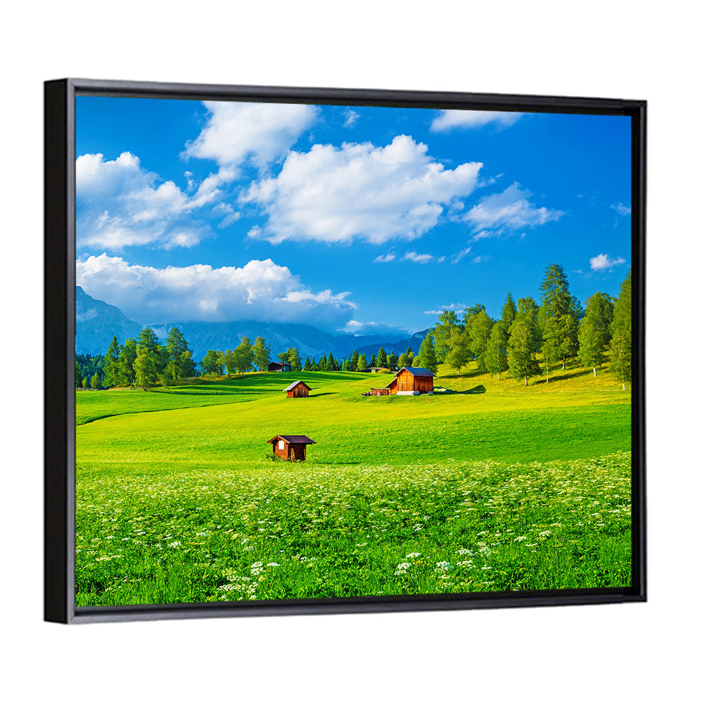 Alpine Valley Meadow, Austria Wall Art