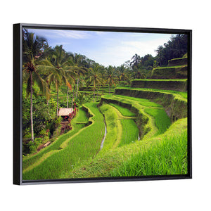 Terrace Rice Fields In Tegallalang Wall Art