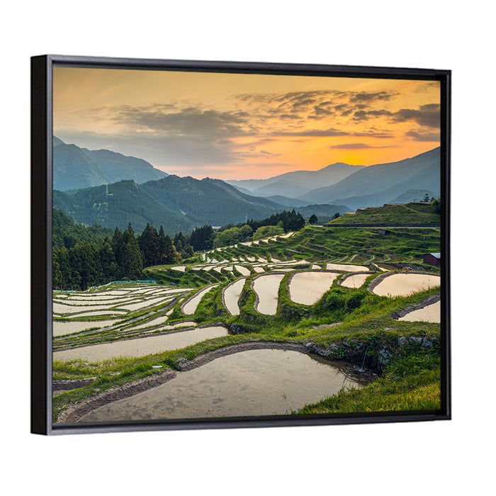 Sunset Over Japanese Rice Terraces Wall Art as a framed canvas