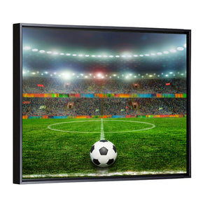 Soccer Ball On Stadium Wall Art