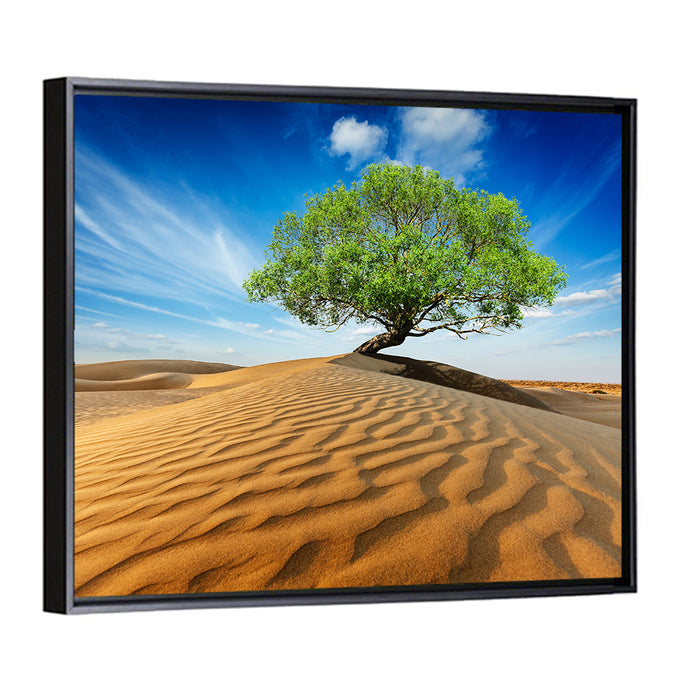 Solitary Green Tree on Sand Dune Wall Art as a framed canvas