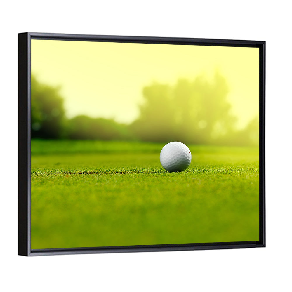 Golf Ball Near Hole Wall Art