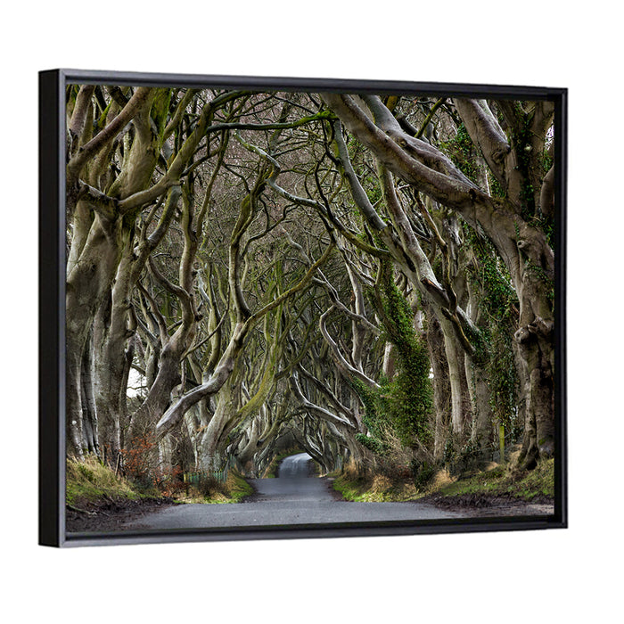 Dark Hedges Tree Tunnel Wall Art as a framed canvas