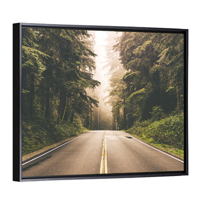 Redwood Highway In Northern California Wall Art