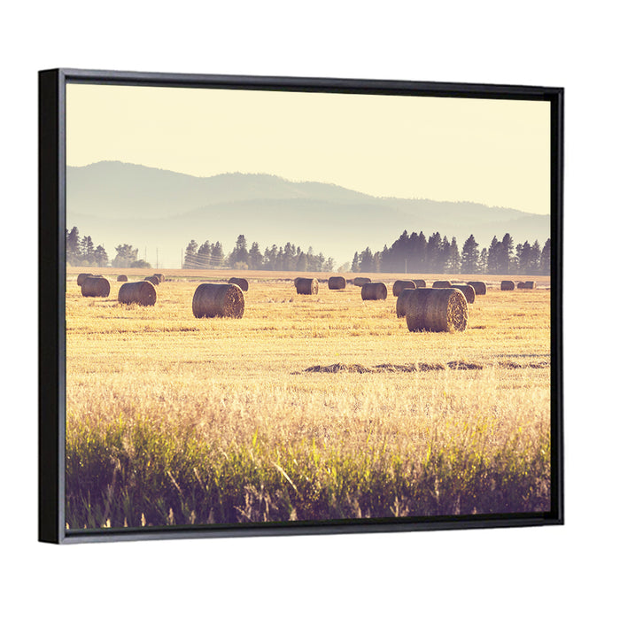 Golden Hay Bales Field Wall Art as a framed canvas