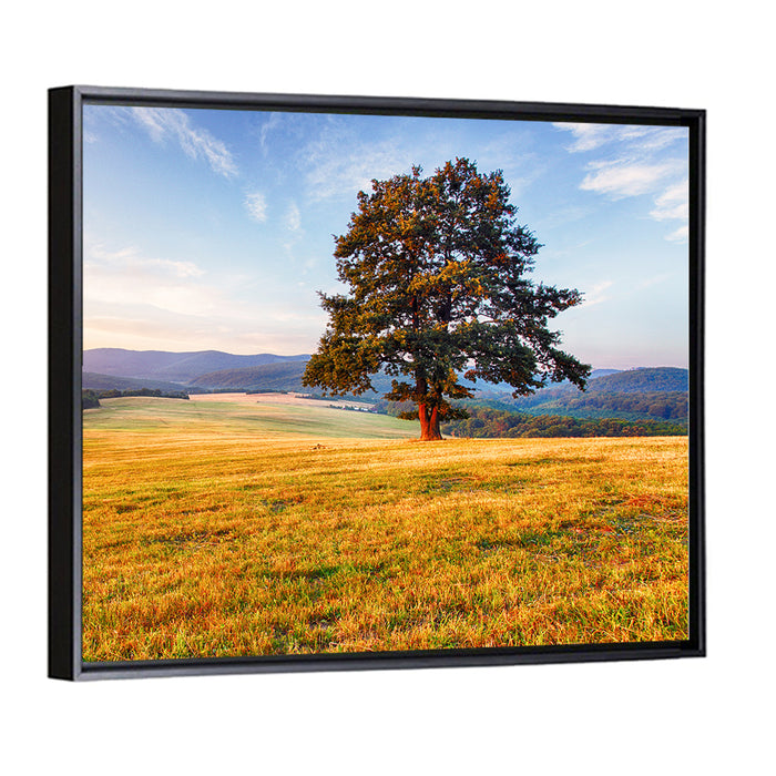 Golden Hour Meadow with Lone Tree Wall Art as a framed canvas