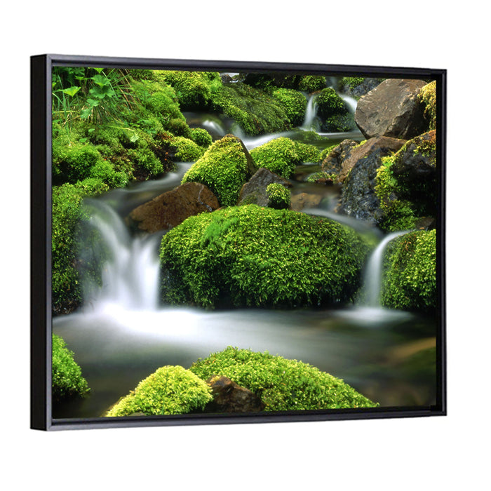 Mossy Mountain Stream Wall Art as a framed canvas