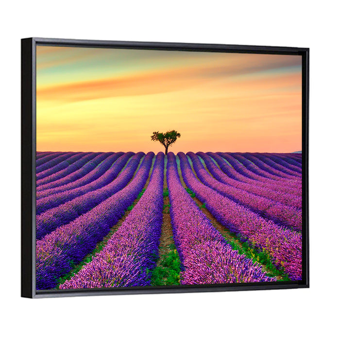 Lavender Field with Solitary Tree Wall Art as a framed canvas