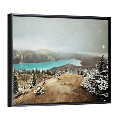 Peyto Lake In Winter Wall Art