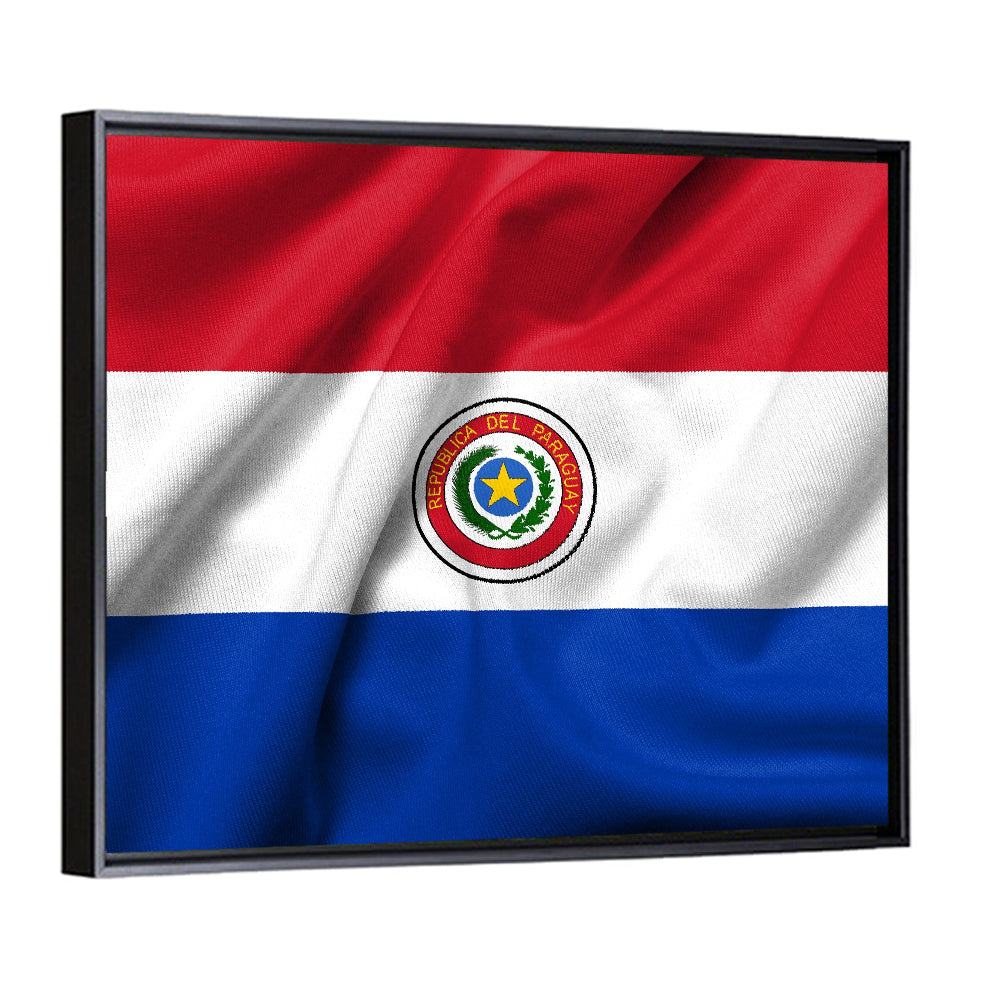Paraguay Flag with Emblem Wall Art