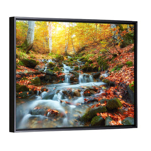 Autumn Stream In Forest Wall Art