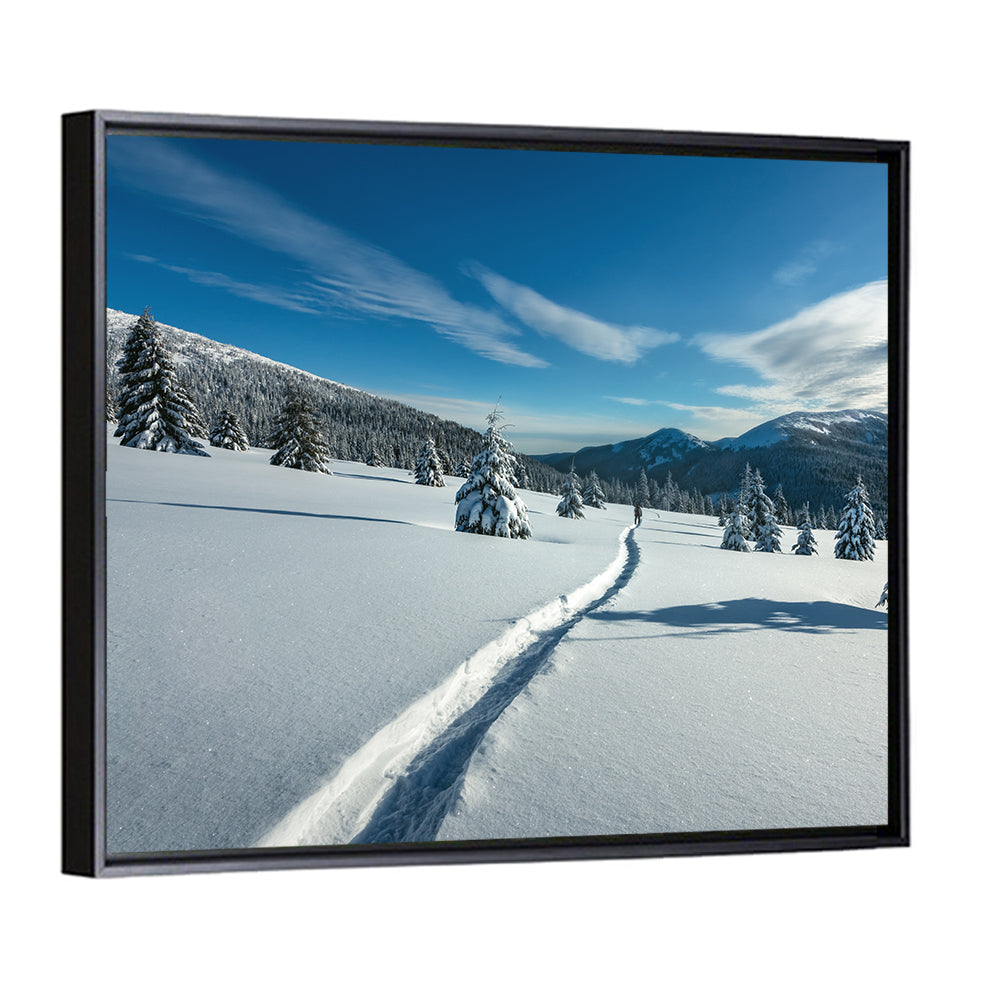 Snowy Carpathian Trail Wall Art