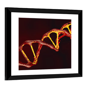 DNA Code Structure Wall Art