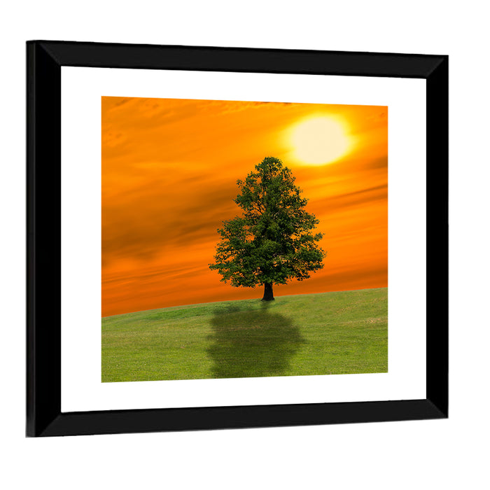 Lonely Tree on Green Hill at Sunset Wall Art as a framed print