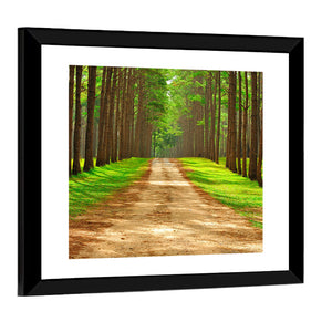 Thailand Pine Forest Wall Art