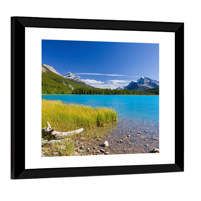 Jasper Lake with Driftwood Wall Art as a framed print