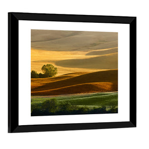 Tuscany Region Italy Wall Art