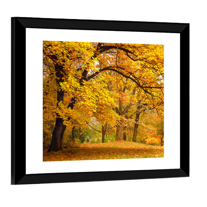 Golden Canopy in Autumn Park Wall Art as a framed print