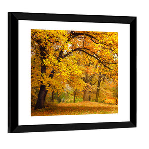 Autumn Gold Trees In Park Wall Art