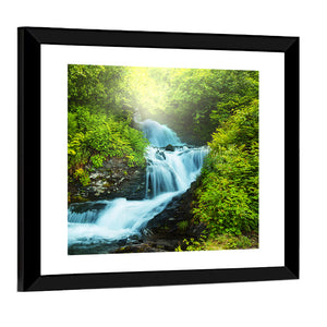 Creek In Forest Wall Art