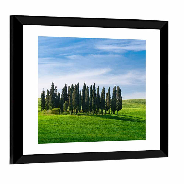 Tuscany Rolling Hills with Cypresses Wall Art as a framed print