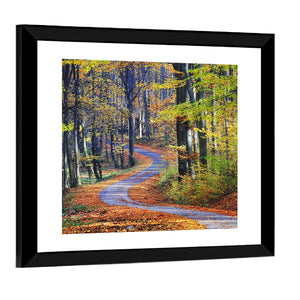 Winding Path Through Autumn Forest Wall Art