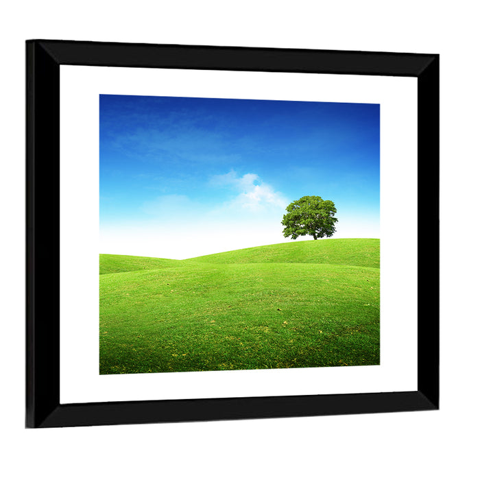 Lone Tree on Rolling Green Hill Wall Art as a framed print