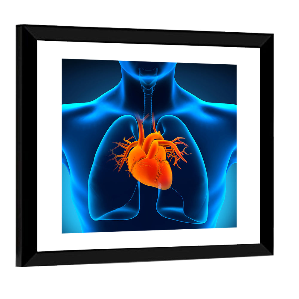 Glowing Heart Anatomy Illustration Wall Art