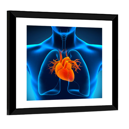 Human Heart Anatomy Wall Art