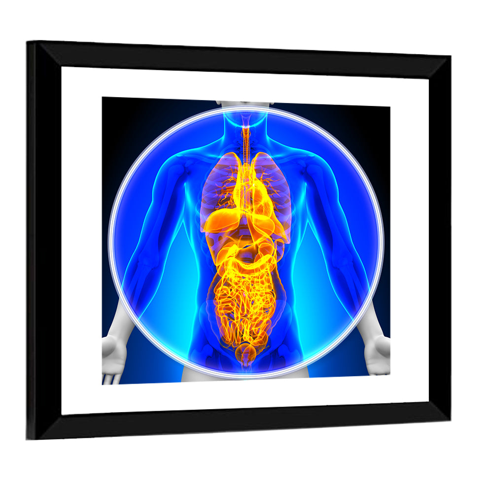 Medical X-Ray Scan All Organs Wall Art