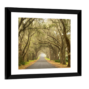 Spanish Moss Countryside Road Wall Art