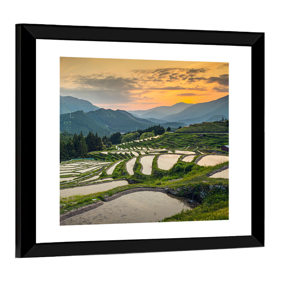 Japanese Rice Terraces Sunset Wall Art