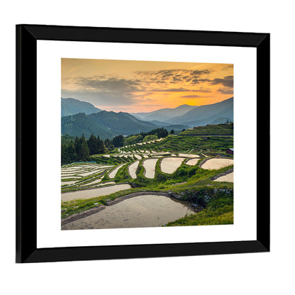 Japanese Rice Terraces Sunset Wall Art