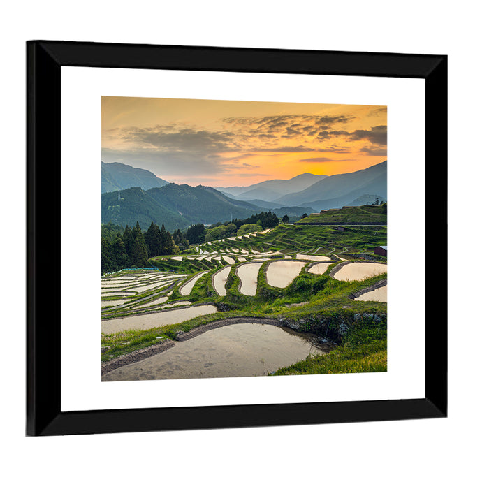Sunset Over Japanese Rice Terraces Wall Art as a framed print