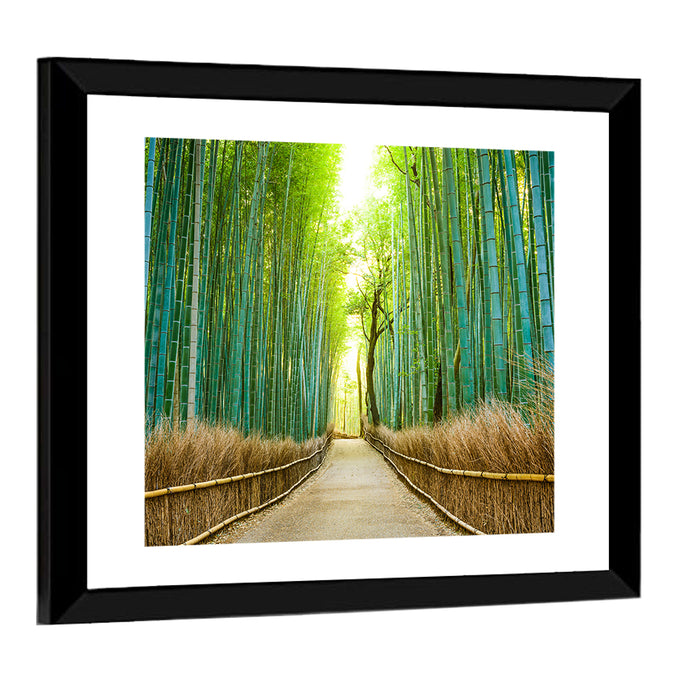 Arashiyama Bamboo Path, Kyoto Wall Art as a framed print
